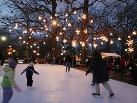 Backyard Rink, Outdoor Skating Rink, Outdoor Ice Skating, Outdoor Skating, Skate Party, Skating Rink, Ice Rink, Christmas Town, Christmas Wonderland