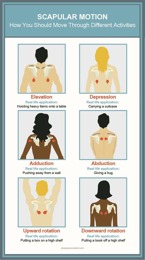 Scapula Movement, Scapula Exercises, Punkty Spustowe, Shoulder Rehab Exercises, Shoulder Anatomy, Physical Therapy School, Shoulder Rehab, Physical Therapy Assistant, Basic Anatomy And Physiology