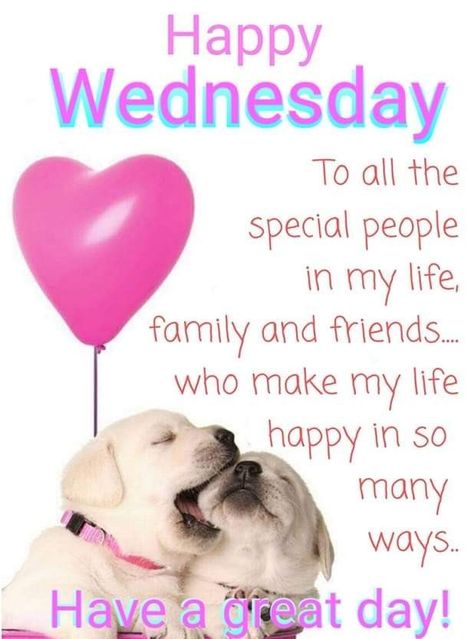 Wensday Quotes, Happy Wednesday, Special People, Have A Great Day, Quotes, Pins