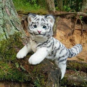 Baby White Tiger, Cutest Animals On Earth, Baby Tigers, Cute Ferrets, Super Cat, Really Cute Dogs, Cute Wild Animals, White Tiger, Cute Animal Photos