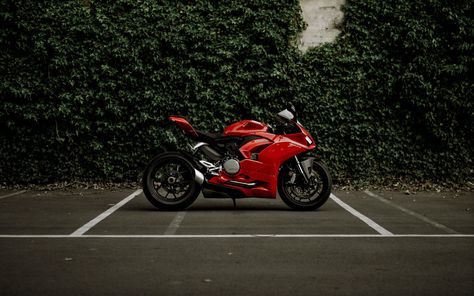 Ducati Wallpaper Iphone, Ducati Wallpaper, Red Ducati, Wallpaper Bike, Bike Ducati, Ducati Panigale V2, Motorcycle Red, Bike Sketch, Laptop Wallpaper Desktop Wallpapers