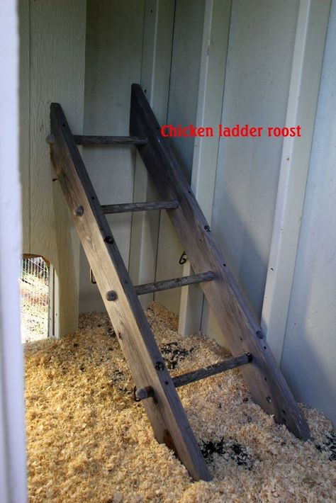 Feeder For Chickens, Chicken Ladder, Roosting Bars, Chook Pen, Urban Chicken Farming, Chicken Roost, Easy Chicken Coop, Portable Chicken Coop, Chicken Pen