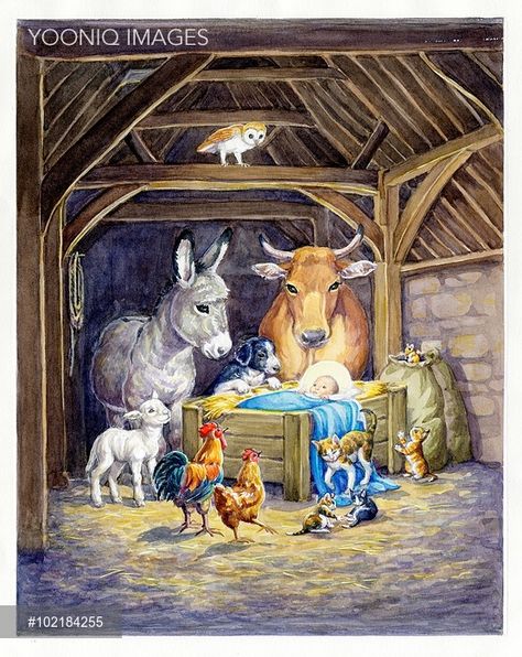 Jesus in Manger surrounded by animals Charity Christmas Cards, Christmas Jesus, Christmas Nativity Scene, Christmas Scenes, Christmas Nativity, Noel Christmas, Vintage Christmas Cards, Baby Jesus, Christmas Paintings