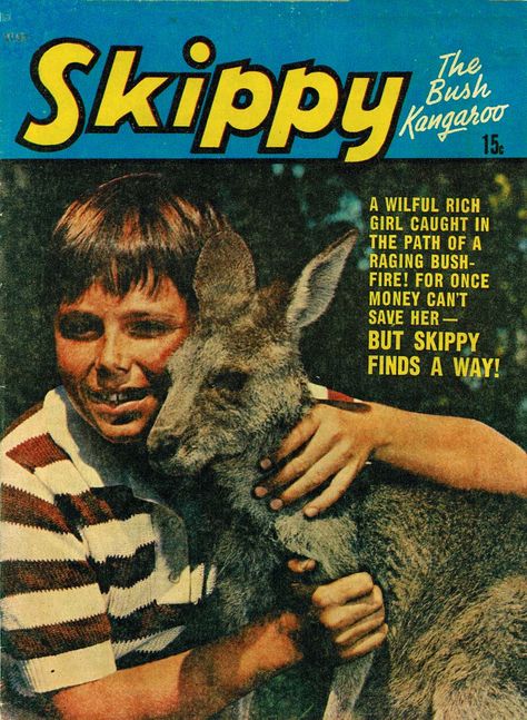 Skippy the Bush Kangaroo Comics Display, Comic Display, Tamworth, Safety Matches, Vintage Icons, The Bush, Save Her, The Good Old Days, Interior Art