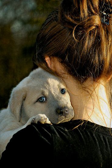 Welcome to the Family... by Karen  Helgesen Bear Cabin, Dog Photoshoot, Appaloosa, Quarter Horse, Jolie Photo, Dog Photography, Black Bear, Dog Photos, Mans Best Friend