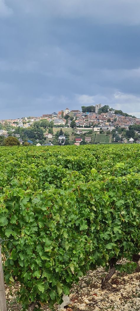 Sancerre France Sancerre France, France, Travel