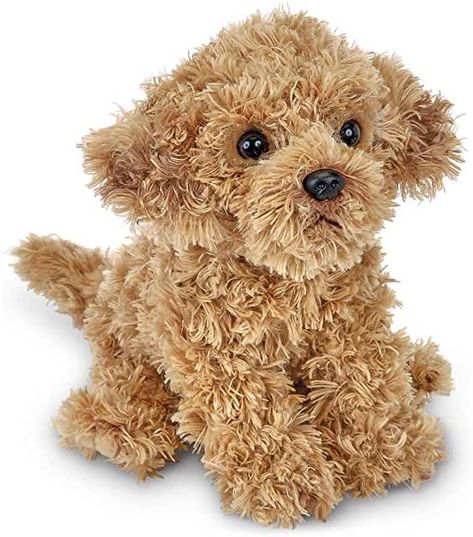 Amazon.com: jellycat stuffed animals Brown Labradoodle, Realistic Stuffed Animals, Puppy Sitting, Teddy Dog, Labradoodle Puppy, Dog Meet, Sparkling Eyes, Dog Stuffed Animal, Beloved Dog