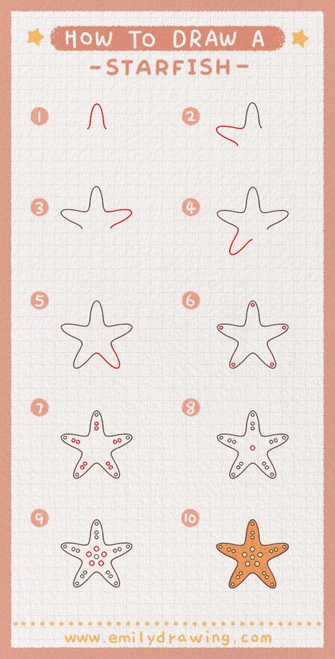 How to Draw a starfish - Learning How to Draw - Learn how to draw a starfish with this step by step tutorial. Easy to follow tutorial and Youtube drawing video for a cool idea to draw for beginners. Starfish Drawing, Seashell Drawing, Sea Creatures Drawing, Starfish Painting, Ocean Drawing, Kindergarten Art Lessons, Messy Art, Stella Marina, Drawing Guide