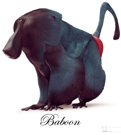 ArtStation - Baboon Alphabet Project, Artist Character, Character Designer, Animal Drawing, Concept Artist, Baboon, Character Design Animation, Primates, Tattoo Design Drawings