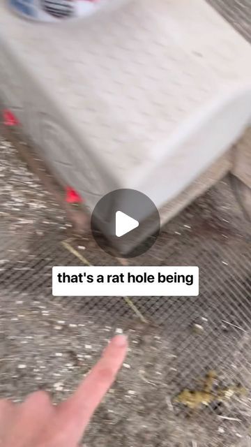 Katie | GregsChicks • Backyard Farm on Instagram: "I’m sure you’ve seen several videos about securing your chicken run. I thought this was a great visual as to the why behind it, if you haven’t actually seen rat tunnels, or predator tunnels, or the evidence of something trying to get in. 

The other option is to go 3 or 4 feet digging down if you don’t want to do the entire floor. For me, it was easier and made more sense to just do the floor. 

My entire run is wrapped with hardware cloth, which is not cheap but it’s the most secure. I’ve actually found the best deal on hardware cloth on Amzn because my local hardware stores only carry the small rolls instead of the hundred foot rolls.

Ask me any questions, share comments, or tell me your experience with securing your chicken run and coo Chicken Tunnel From Coop To Run, Chicken Run Hiding Places, Chicken Run Roosting Bars, Attaching Hardware Cloth To Chicken Run, Chicken Run On Wheels, Chicken Run Cover Ideas, Homemade Chicken Run, Cheap Chicken Run, Chicken Run Roof