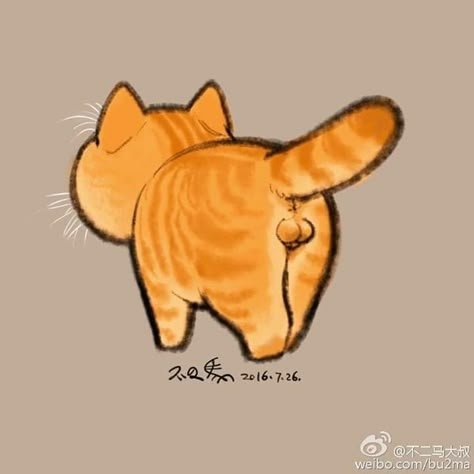 Source : @不二马大叔 Ginger Cat Art, Creating A Capsule Wardrobe, Wardrobe Revamp, Most Beautiful Cat, Cute Cat Drawing, Cat Tattoo Designs, Beautiful Cat Breeds, Orange Tabby Cats, Most Beautiful Cat Breeds