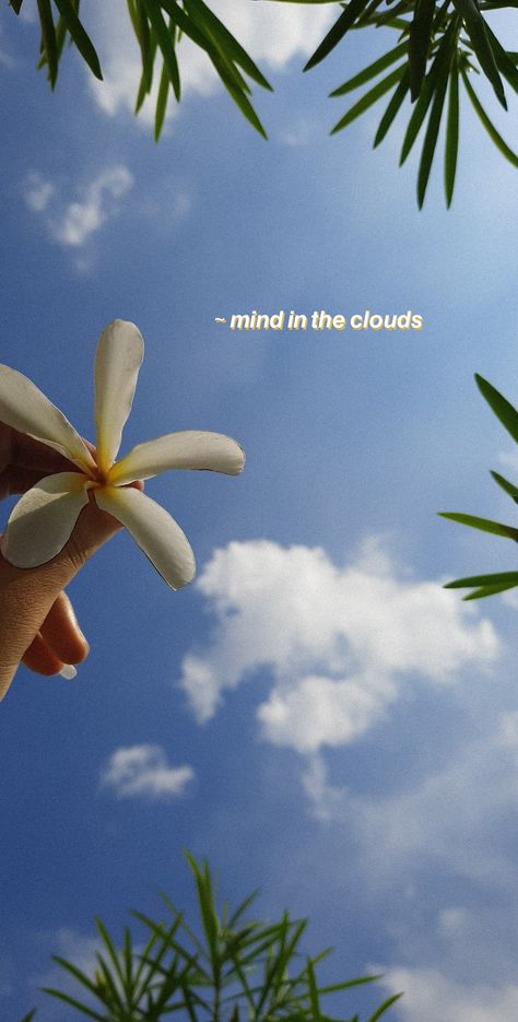 White Flower Quotes Instagram, Sky And Flowers Aesthetic Quotes, Sky And Flowers Aesthetic, White Flower Quotes, Cloud Pictures Sky, Flower Insta Story, Flower Instagram Story, Mind In The Clouds, Flower And Sky