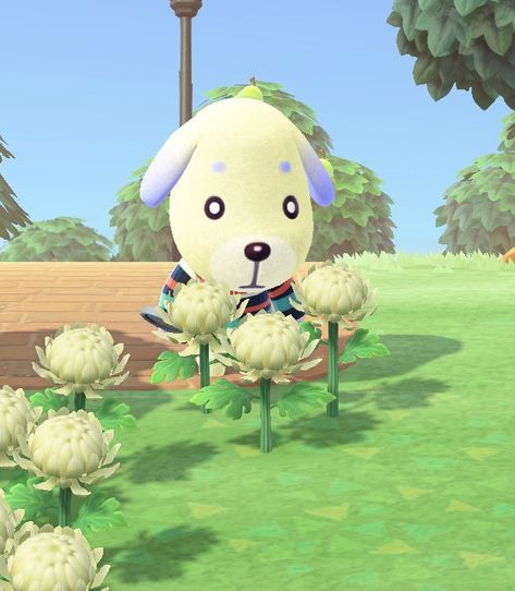 Daisy Acnh, Daisy Animal Crossing, Acnh Pfps, Animal Crossing Pfp, Acnh Kidcore, Animal Crossing Aesthetic, Acnh Villagers, Field Of Daisies, Crossy Road