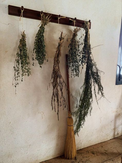 broomstick. drying herbs hung upside down on a wall hanger Witches Storage, Dried Herbs Aesthetic, Witches Herbs, Herb Drying, Witch Herbs, Door Jam, Hanging Herbs, Drying Racks, Fall Front Porch