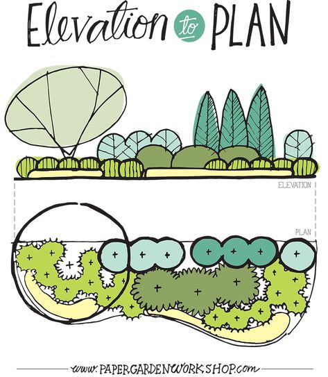 Elevation to Plan Landscape Design Drawings, Planting Plan, Garden Drawing, Landscape Edging, Garden Design Plans, Landscape Design Plans, Landscape Designs, Landscape Plans, Landscaping Tips