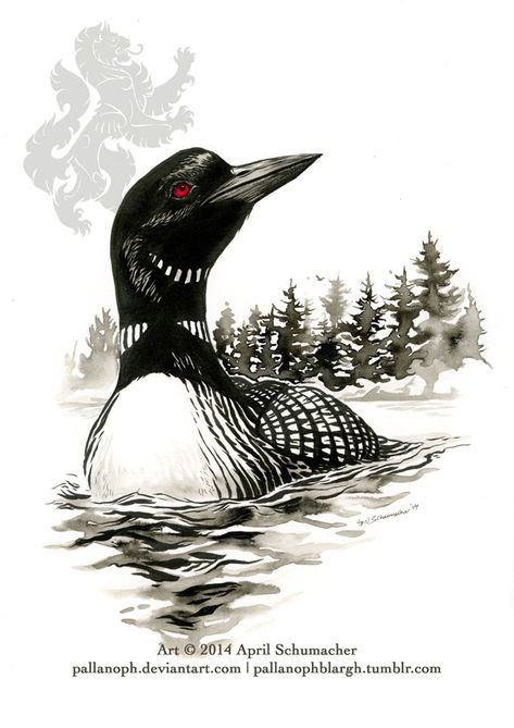 Loon Drawings, Loon Tattoo Ideas, Loon Art, Loon Tattoo, Bird Drawings, Watercolor Animals, Wildlife Art, Birds Painting, North Shore