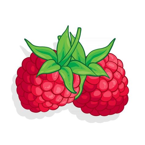 Raspberry Cartoon, Berries Cartoon, Raspberry Clipart, Raspberry Drawing, Raspberry Illustration, Drawing Fruits, Raspberry Bush, Sweet Fruit, Cartoon Cake