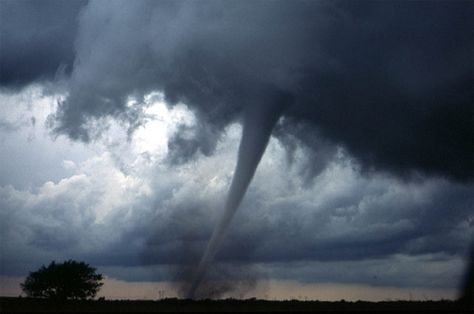 A Kansas Tornado Memory – 1940s | Discovering Mom Tornado Safety Tips, Kansas Tornado, Tornado Pictures, Tornado Damage, Tornado Alley, Tornado Warning, Homestead Survival, Severe Weather, Emergency Preparedness