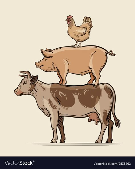 Pit Beef, Cow Pig Chicken, Chicken Tattoo, Chicken Vector, Pig Drawing, Barn Pictures, Vegan Tattoo, Chicken Painting, Pork Meat