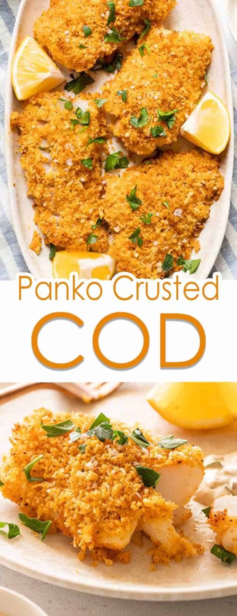 Crusted Cod Baked, Panko Crusted Cod Baked, Cod Recipes Oven, Fried Cod Fish Recipes, Cod Baked, Panko Crusted Cod, Panko Recipes, Fried Cod Fish, Breaded Cod