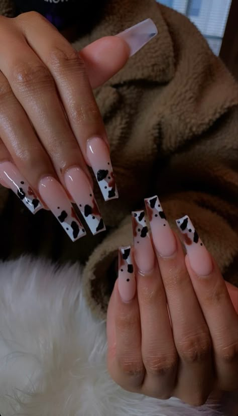 Nails 2023 Trends White And Black, Vaquita Nails, Cow French Tip, Cow Pattern Nails, Rodeo Nails, Cowboy Nails, Brown Acrylic Nails, Western Nails, Queen Nails