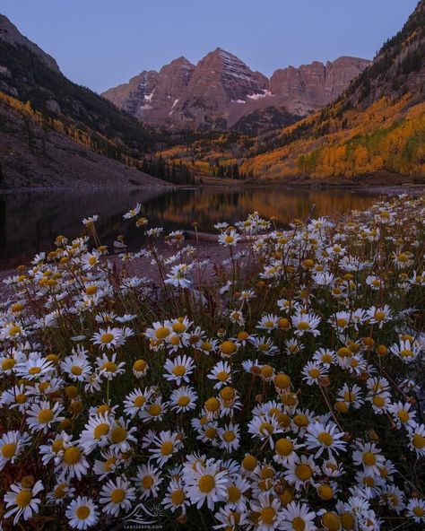 Fall In Colorado, Mountain Wallpaper, The Mountain, Beautiful Places, Colorado, Flowers, Beauty