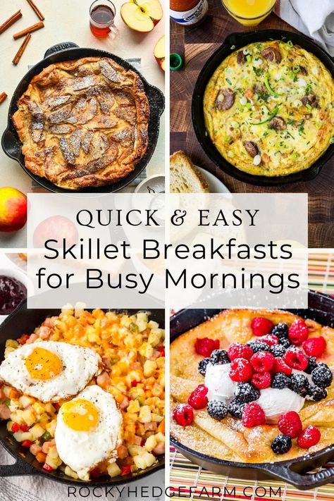 Whip up delicious & easy cast iron skillet breakfast recipes in minutes. From savory frittatas to fluffy pancakes, we have 20+ ideas to kickstart your morning! Skillet Breakfast Recipes, Cast Iron Skillet Breakfast, Iron Skillet Breakfast Recipes, Iron Skillet Breakfast, Breakfast Recipe Ideas, Naturally Sweetened Desserts, Skillet Breakfast, Sweet Potato Breakfast Hash, Breakfast Skillet Recipes