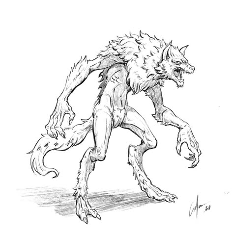 Anime Body Base, Rib Cage Drawing, Werewolf Drawing, Anime Body, Body Base, Humanoid Creatures, Monster Drawing, Werewolf Art, How To Shade