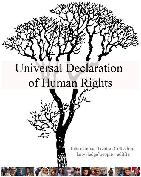 The Universal Declaration of Human Rights Universal Declaration Of Human Rights, Declaration Of Human Rights, Children's Picture Books, Picture Books, Kids Pictures, Human Rights, Picture Book, Human, Books