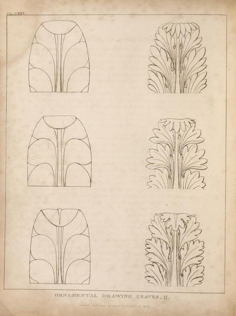 One of hundreds of thousands of free digital items from The New York Public Library. Ornamental Drawing, Drawing Leaves, Mathematics Art, Ornament Drawing, Drawing Book, Engraving Art, Metal Engraving, Acanthus Leaf, Book Projects