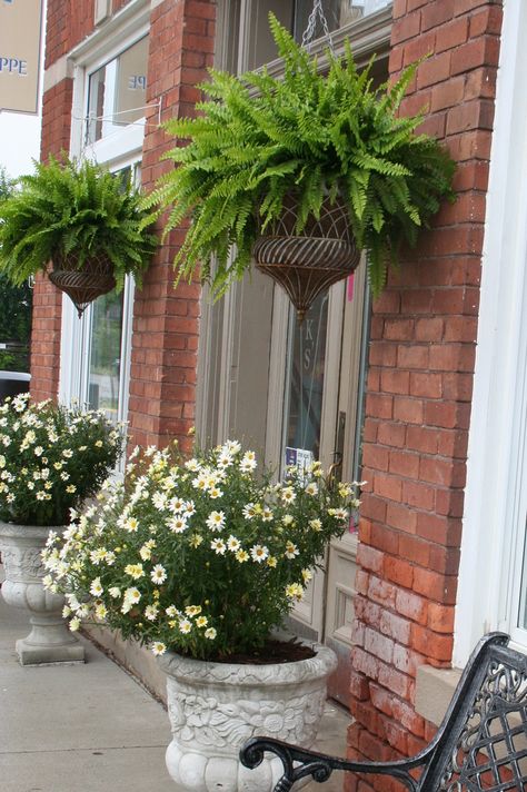 Flower Basket Ideas, Container Landscaping, Hanging Flower Basket, Outside Plants, Floating Garden, Short Plants, Hanging Flower Baskets, Metal Basket, Patio Planters