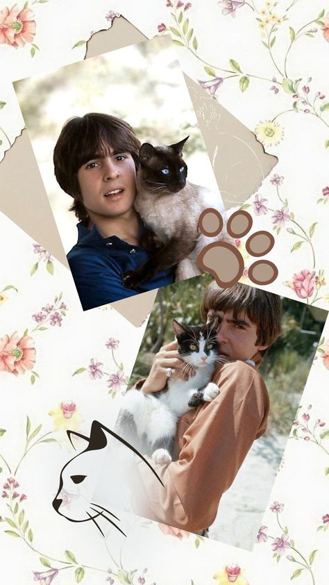 David Thomas, Thomas Jones, Davy Jones, The Monkees, George Harrison, Cat Wallpaper, The Beatles, All About Time, Wallpapers