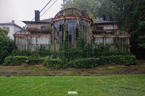 Victorian Greenhouse, Victorian Greenhouses, Greenhouse Interiors, Greenhouse Gardening, Old Buildings, Abandoned Houses, Beautiful Architecture, Glass House, Pretty Places