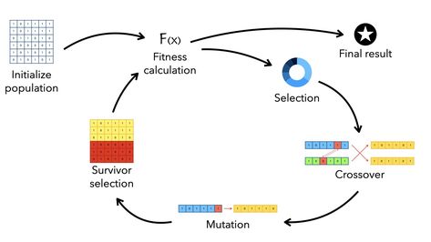 An Illustrated Guide to Genetic Algorithm Point Mutation, Process Of Evolution, Genetic Algorithm, Process Of Change, Roulette Wheel, Deep Learning, Genetic, Big Data, Machine Learning