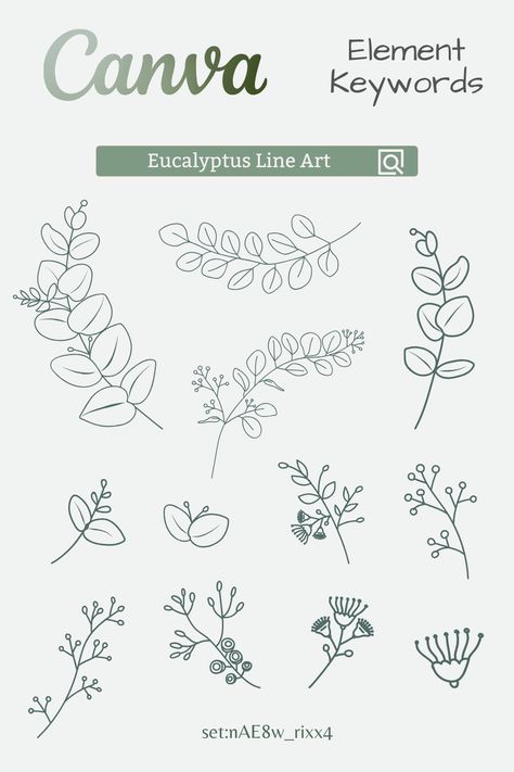 Eucalyptus Line Art Elements in Canva Greenery Elements Keywords: #leaf #leaves #eucalyptus #plant #organic #natural #botanical #greenery #foliage #lineart #handdrawn Canvas Elements, Canva Sets, Elements In Canva, Font Canva Lettering, Eucalyptus Plant, Graphic Shapes Design, Flower Henna, Canvas Learning, Art Elements