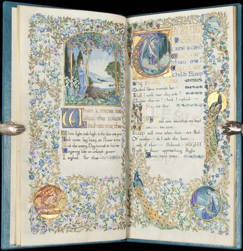 Illuminated Letters, Beautiful Books, Up Book, Illuminated Manuscripts, 판타지 아트, Illuminated Manuscript, Kids Sleep, Old Books, Antique Books