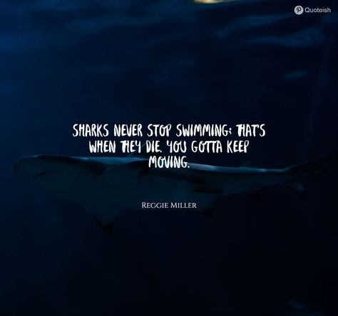 25+ Shark Quotes - QUOTEISH Gym Shark Quotes, Be A Shark Quote, Shark Week Quotes, Whale Shark Quotes, Shark Quotes Funny, Shark Quotes Inspirational, Sharks Quotes, Jaws Quotes, Shark Sayings