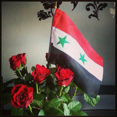 Syria Pictures, Syrian Flag, Syria Flag, Aleppo Syria, Space Drawings, Damascus Syria, Purple Love, Beautiful Places To Travel, Syria