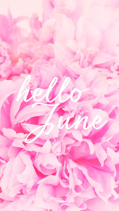 Hello June Hello December Wallpaper, December Tumblr, Hello December Tumblr, December Wallpaper Iphone, Hello December Images, December Food, June Pictures, June Wallpaper, Hello New Month