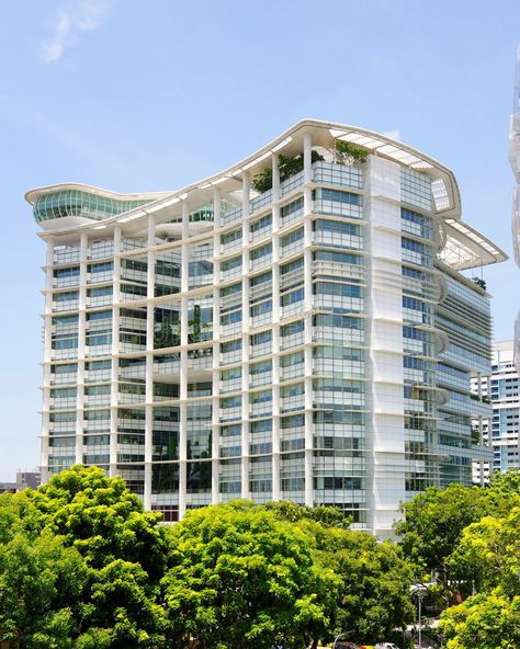 National Library. Of Singapore building , #Ad, #Library, #National, #building, #Singapore #ad Buildings In Singapore, Singapore National Museum, Singapore Plant Building, Singapore Green Building, Suntec City Singapore, Roof Garden, Green Building, Singapore, Stock Images Free