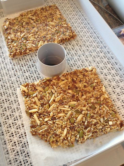 A few days ago I made these fantastic and super-healthy raw granola bars from a whole mess of seeds and nuts. Pumpkins seeds, steel-cut oatmeal, flax seeds, quinoa, sunflower seeds, and almonds are… Raw Granola, Dehydrating Food, Seed Bars, Steel Cut Oatmeal, Nut Cookies, Red Quinoa, Food Dehydrator, Granola Healthy, Flax Seeds