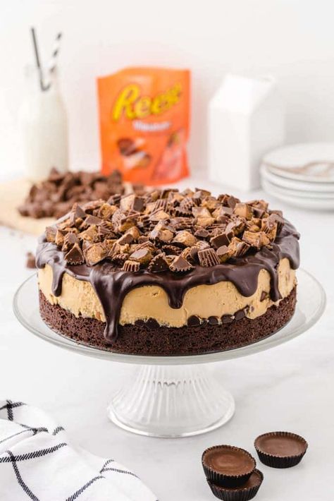 Reese's Cheesecake - Princess Pinky Girl Reece’s Cheesecake, Reese’s Cheesecake, Reese's Peanut Butter Cheesecake, Reeses Cheesecake, Peanut Butter Cheesecake Recipes, Cup Cheesecake, Peanut Butter Cup Cheesecake, Hero Image, Chocolate And Peanut Butter