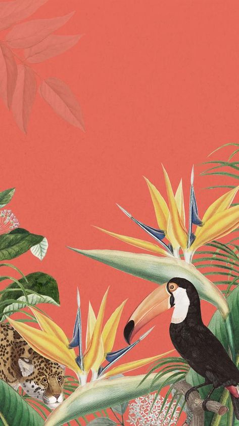 Birds Aesthetic Wallpaper, Iphone Wallpaper Jungle, Bird Phone Wallpaper, Phone Wallpaper Orange, Toucan Wallpaper, Plant Border, Wallpapers 2023, Rainforest Birds, Parrot Wallpaper