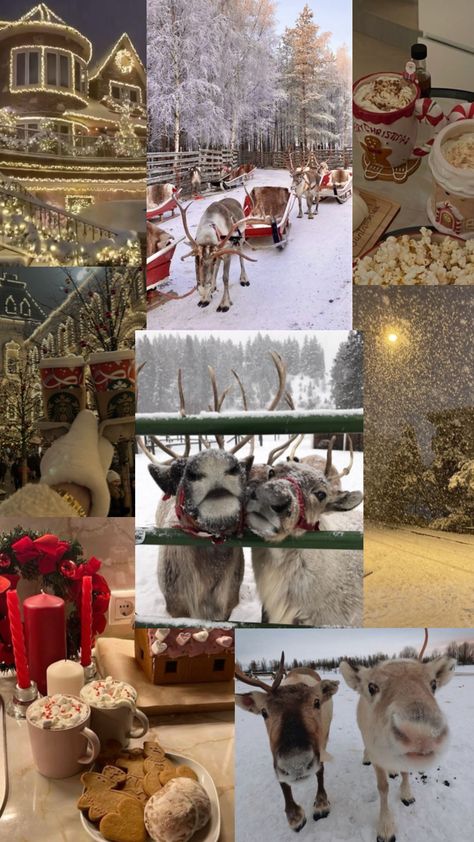 #myfirstshuffle Christmas Winter Wallpaper, Horse Background, Christmas Lockscreen, Autumn Phone Wallpaper, Collage Christmas, Cow Wallpaper, Winter Horse, Western Wallpaper Iphone