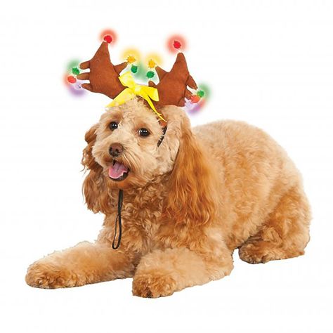 Light Up Reindeer Antlers Dog Hat Dog Reindeer Antlers, Cat Christmas Costumes, Reindeer Pet, Christmas Dog Dress, Reindeer Lights, Dog Antlers, Up Dog, Reindeer Antlers, Dog Hat