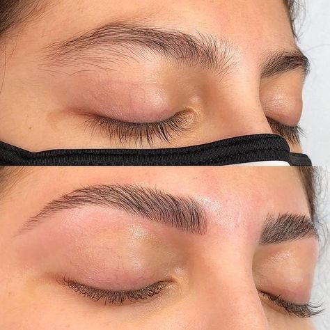 Eyebrows Goals, Eyelash Lift And Tint, Eyebrow Lamination, Eyebrow Lift, Brows And Lashes, Brow Styling, Lashes And Brows, Eyebrow Makeup Tips, Eyelash Lift