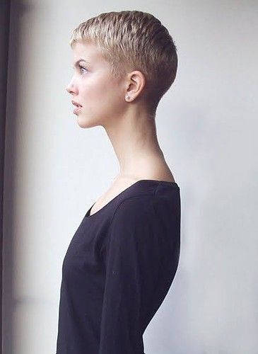 Even the best can keep it simple | Short perfection | pdf2229 | Flickr Super Short Haircuts, Crop Hair, Brain Stem, Short Hair Pixie Cuts, Super Short Hair, Hair Pixie, Edgy Short Hair, Hair Advice, Very Short Hair