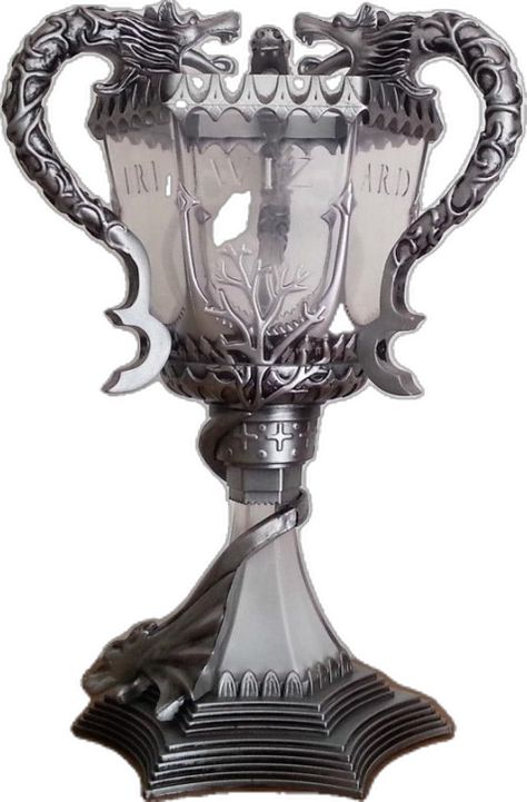 Triwizard Cup, The Goblet Of Fire, Goblet Of Fire, Replica Prop, Movie Props, Harry Potter