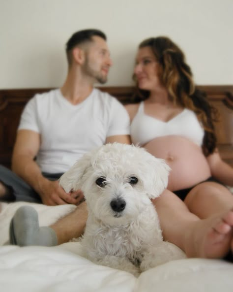 Maternity Photo With Dog, Maternity Photo Shoot With Dog, Maternity Pictures With Dog, Maternity Photo Shoot Ideas At Home, Maternity Photos With Dog, Maternity Photography With Dog, Maternity Shoot With Dog, Pregnancy Photoshoot With Dog, Maternity Shoot With Pets