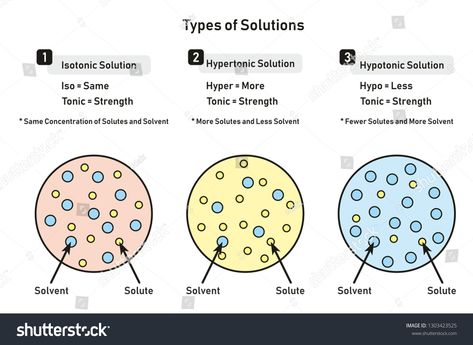 Types of Solutions infographic diagram including isotonic hypertonic hypotonic and relation between solute and solvent for chemistry science education #Ad , #spon, #including#isotonic#hypertonic#diagram Types Of Solutions Chemistry, Solute And Solvent, Human Cell Diagram, Teaching Cells, Physiology Study, Infographic Diagram, Cell Diagram, Middle School Science Activities, Cell Transport